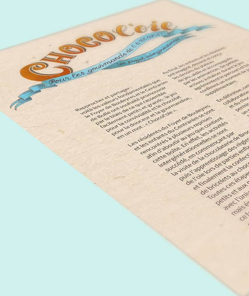 Graphisme flyer règles de jeu oie